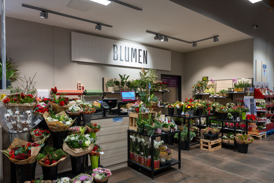 Blumen Blumen